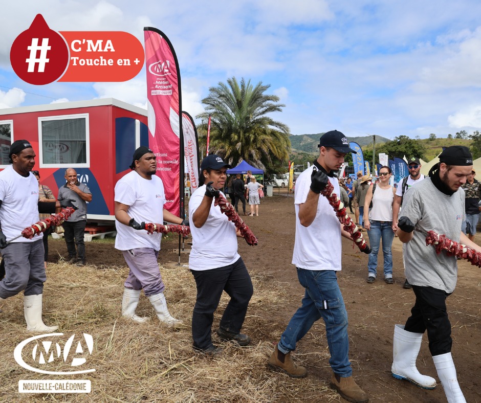 534328048 1163460102492469 8893329881062266864 n