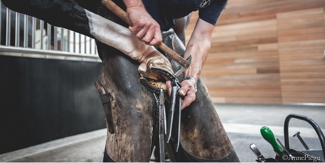 formation marechalerie 2018