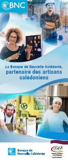 offre bnc 2018 artisan