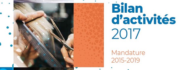 rapport activite 2017