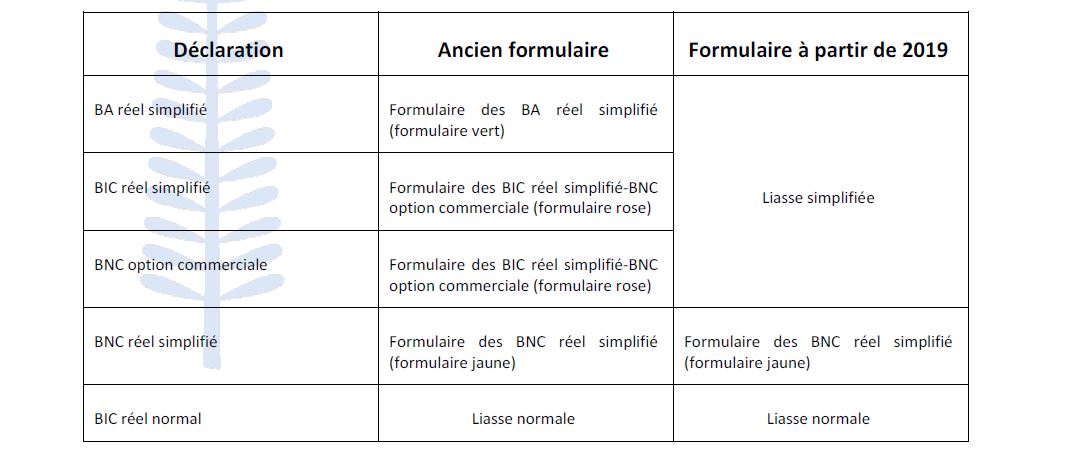 formulaire declaration DSF 2019