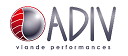 logo adiv