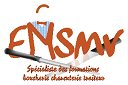 logo emsmv