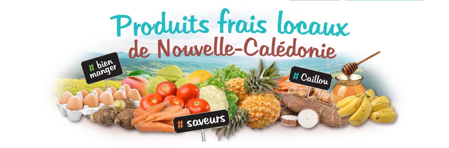 trouvez votre producteur produit frais canc